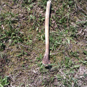 aj taky sa da najsť na veľkonočny pondelok