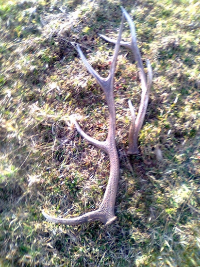 takto ležali vedľa seba