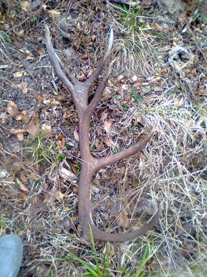 úspešná nedeľná prechádzka