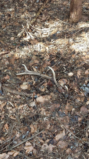 aj minuloročný potešil :)