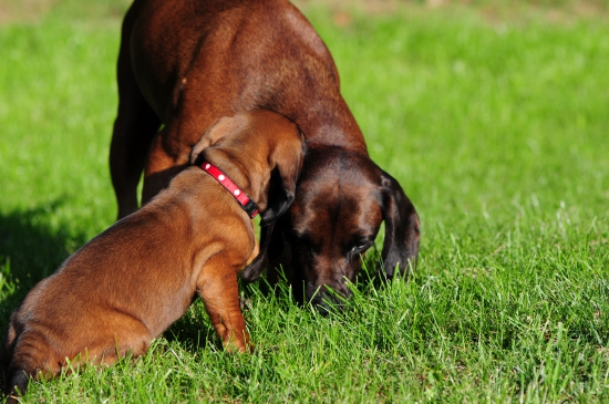 Mamíííí a naozaj už musím ísť k druhému ujovi ?