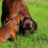 Mamíííí a naozaj už musím ísť k druhému ujovi ?