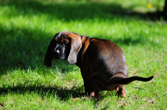 Daj pokoj, nevidiš že .............