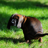 Daj pokoj, nevidiš že .............