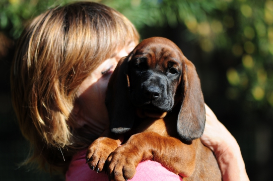 Nadišiel čas rozlúčky..... idem do Poľska