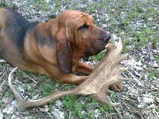 krásny zhod daniela