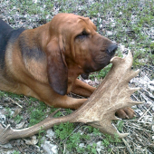 krásny zhod daniela