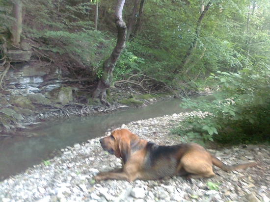 Odpočinok v chládku