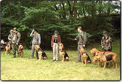 Klubové BZH bloodhoundov v ĆR