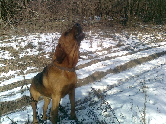 Baf, a daniele utekajú preč :)