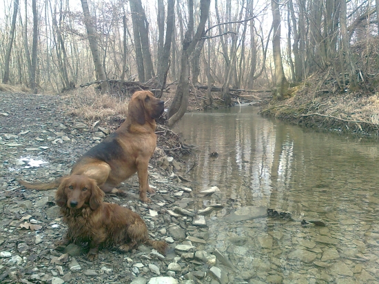 Priatelia lovci v lese :)