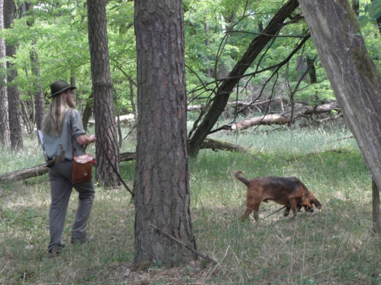 Na skúškach na stope