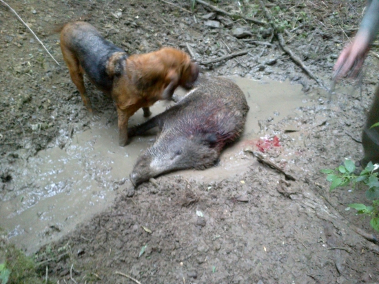 Deviata úspešná dohľadávka v roku