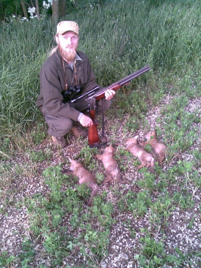 Postriežka na líšky