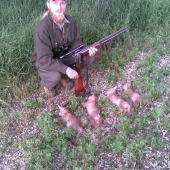 Postriežka na líšky