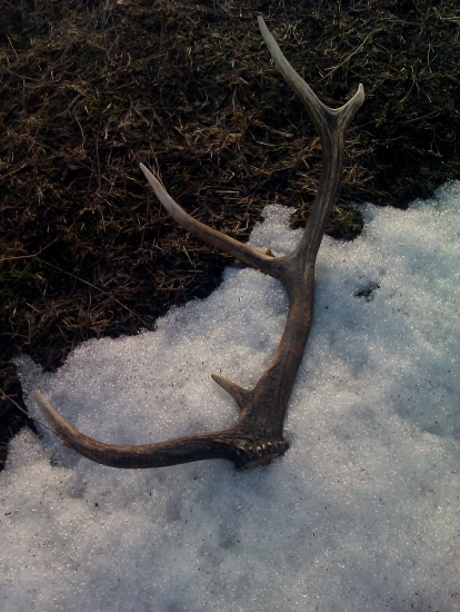 pomaly sa to začne ;)