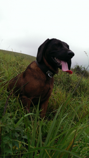 HLADA SA   Kontakt 0910905831