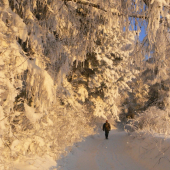 novoročna nádielka