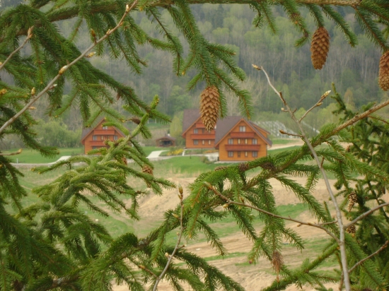 dolina