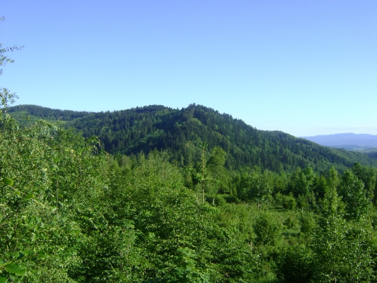 levočske vrchy 1