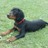 CITA spod Sninského