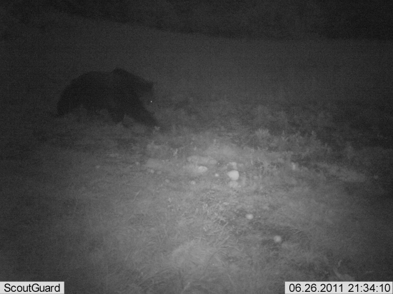 odpoveď k ID 124521