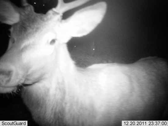 z bližšia odfotené