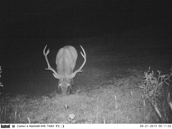 nepravidelný desatorák