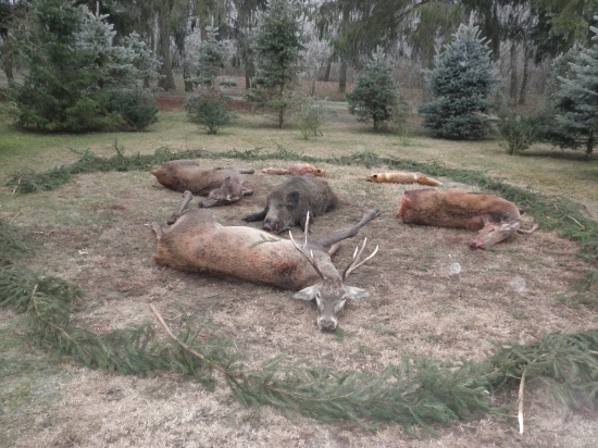Výsledok večernej vychádzky