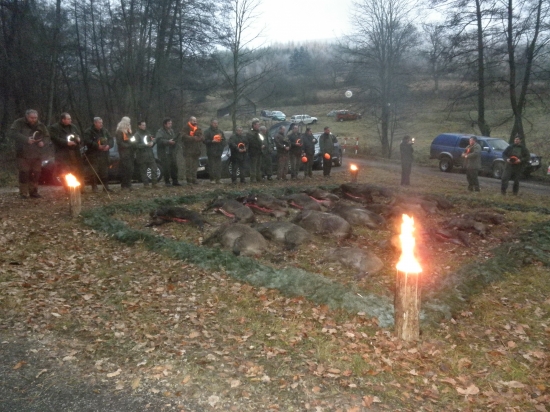 Spoločná poľovačka na diviaky (Topoľčianky)