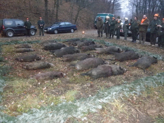 Spoločná poľovačka na diviaky - Topoľčianky 26.11.2011