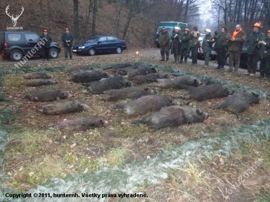 Spoločná poľovačka na diviaky - Topoľčianky 26.11.2011