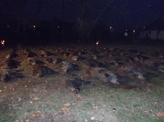 Sárvár (Maďarsko)