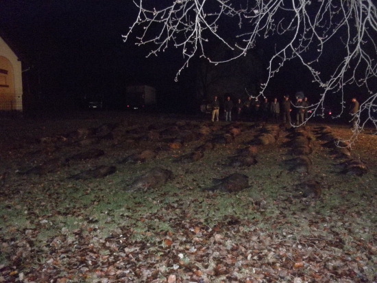 Sárvár (Maďarsko)