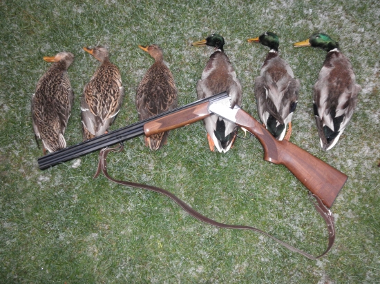 Novoročná prechádzka