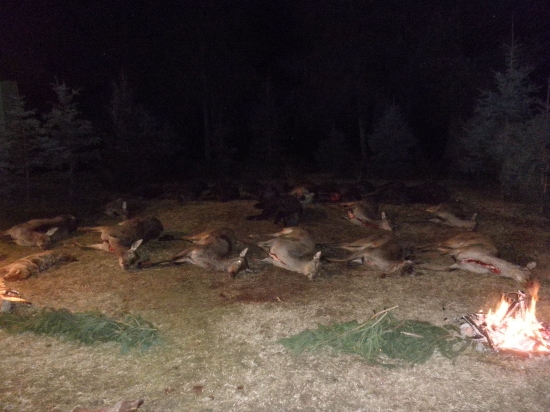 Spoločná poľovačka Kutas