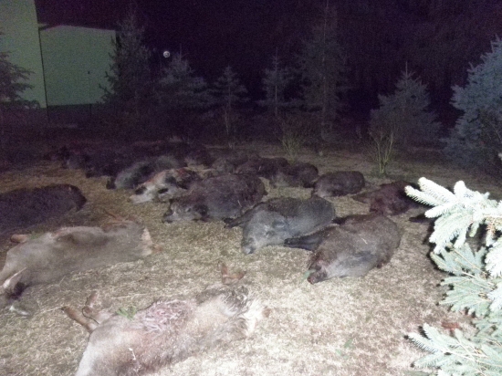 Spoločná poľovačka Kutas