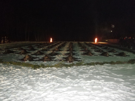 Spoločná poľovačka na diviaky Debrecen (28.01.2012)