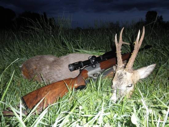 Strieborný srnec z Maďarska