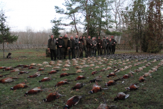 Spoločná poľovačka na bažanty a kačice