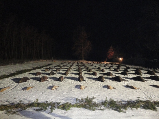 Spoločná poľovačka na diviaky - Debrecen