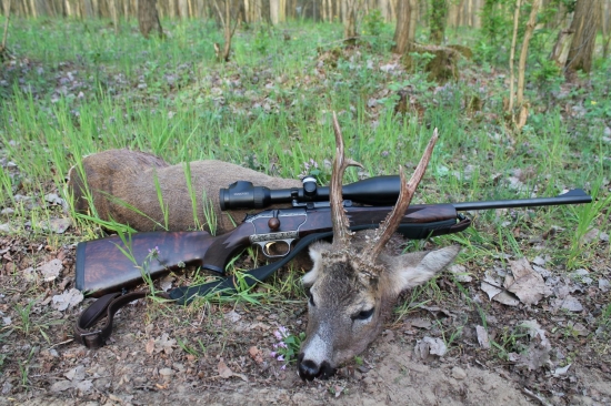 Zlatý srnec z Maďarska