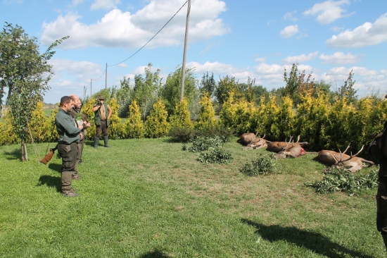 Niekoho potešia aj slabšie