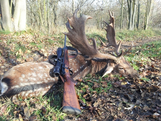 Zlatý daniel (cca 200 CIC)