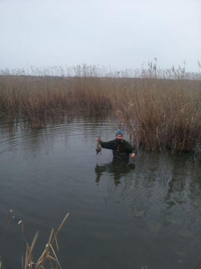 Keď je gazdovi ľúto poslať psa pre kačicu