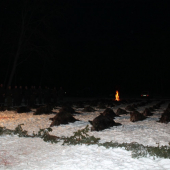Debrecen, 1.2.2014