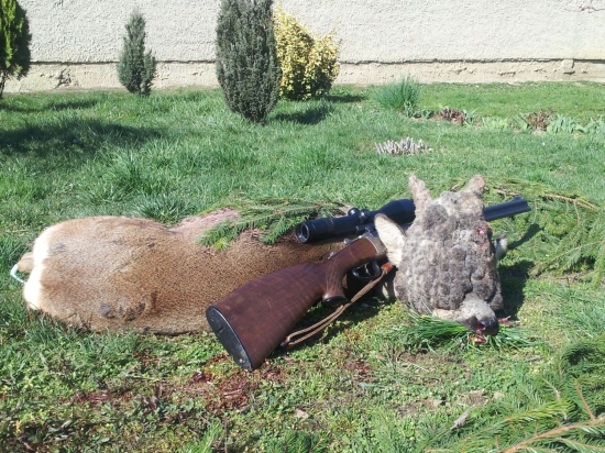 Parochniar z Maďarska