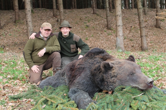 Ďalší macko z Rumunska