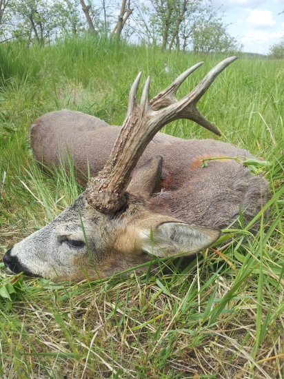 Ďalší zlatý fešák