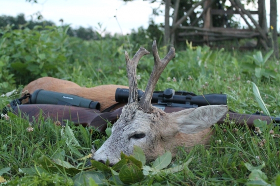 Môj starček z Maďarska